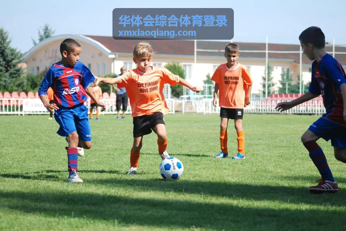 华体会综合体育登录验证提示处理指引封面