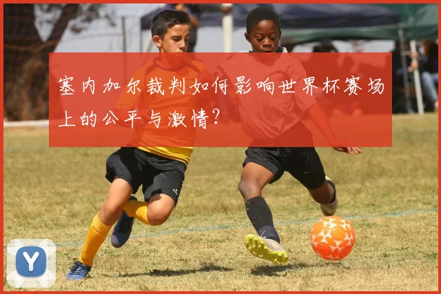 塞内加尔裁判如何影响世界杯赛场上的公平与激情？