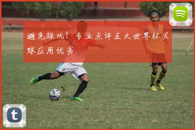 避免踩坑！专业点评五大世界杯买球应用优劣