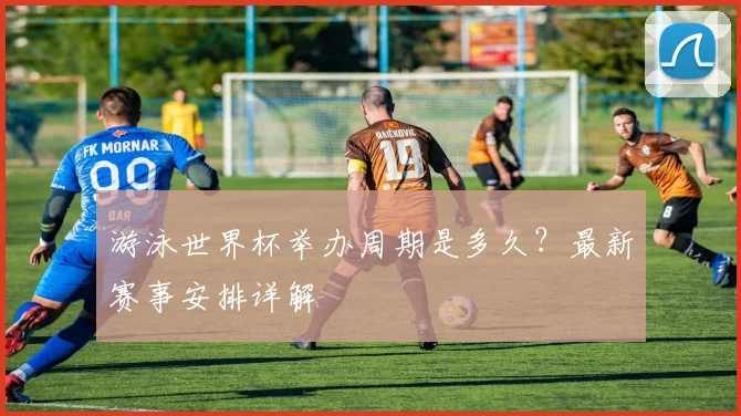 游泳世界杯举办周期是多久？最新赛事安排详解