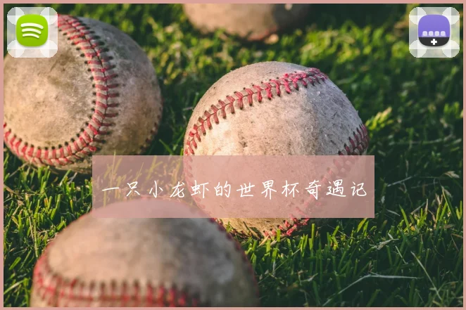 一只小龙虾的世界杯奇遇记