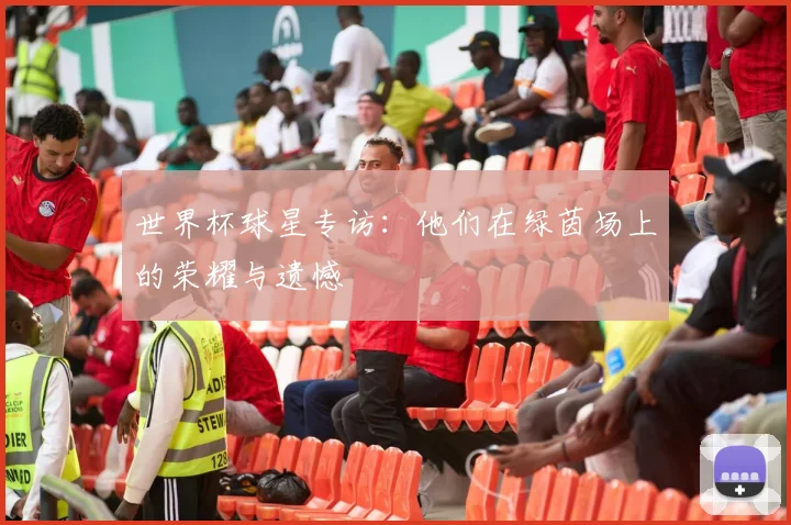 世界杯球星专访：他们在绿茵场上的荣耀与遗憾