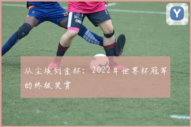 从尘埃到金杯:2022年世界杯冠军的终极奖赏