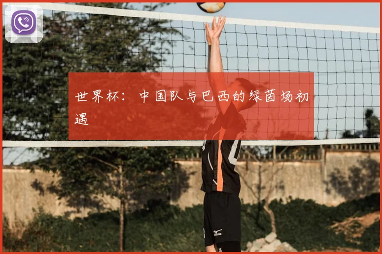 世界杯:中国队与巴西的绿茵场初遇