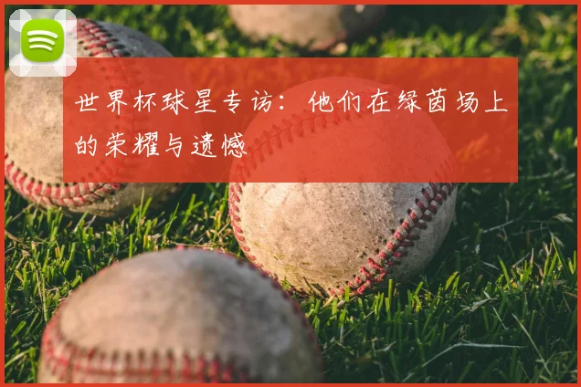 世界杯球星专访:他们在绿茵场上的荣耀与遗憾
