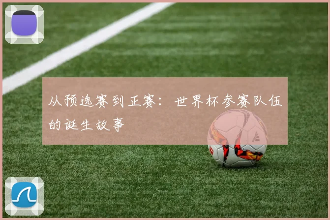 从预选赛到正赛：世界杯参赛队伍的诞生故事